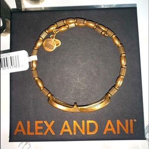 Alex & Ani: Infinite Love Wrap Bracelet